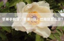 苹果手机贷，苹果id贷，信用贷怎么贷？