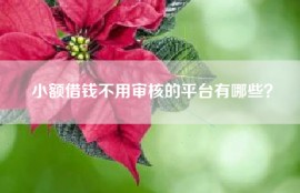 小额借钱不用审核的平台有哪些？