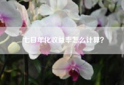 七日年化收益率怎么计算？