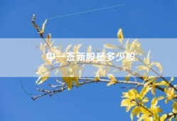 中一签新股是多少股