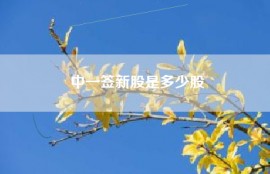 中一签新股是多少股