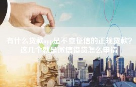 有什么贷款app是不查征信的正规贷款？这几个就是微信借贷怎么申请