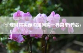 P2P理财其实像淘宝网购一样简单(转载)