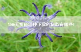 5000无视征信秒下款的贷款有哪些?