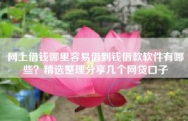 网上借钱哪里容易借到钱借款软件有哪些？精选整理分享几个网贷口子