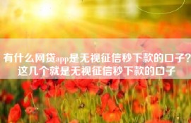 有什么网贷app是无视征信秒下款的口子？这几个就是无视征信秒下款的口子
