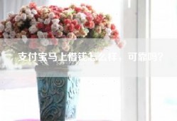 支付宝马上借钱怎么样，可靠吗？
