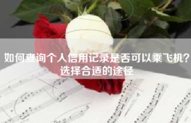 如何查询个人信用记录是否可以乘飞机？选择合适的途径