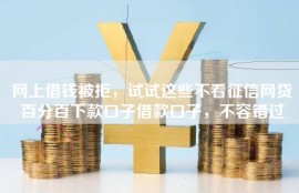 网上借钱被拒，试试这些不看征信网贷百分百下款口子借款口子，不容错过