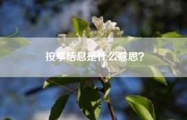 按季结息是什么意思？