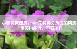小额贷款速贷，2022无视评分负债的网贷，负债也能借，不看工作