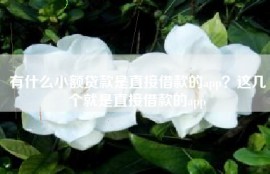 有什么小额贷款是直接借款的app？这几个就是直接借款的app