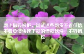 网上借钱被拒，试试这些网贷不看征信不看负债快速下款的借款软件，不容错过