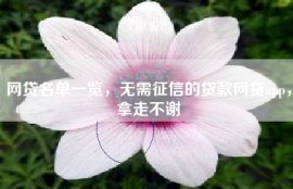 网贷名单一览，无需征信的贷款网贷app，拿走不谢