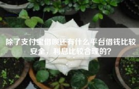 除了支付宝借呗还有什么平台借钱比较安全，利息比较合理的？
