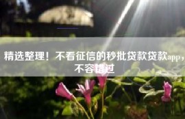 精选整理！不看征信的秒批贷款贷款app，不容错过