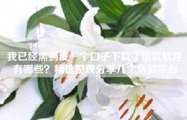 我已经黑到没一个口子下款了借款软件有哪些？精选整理分享几个贷款平台