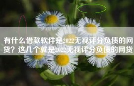 有什么借款软件是2022无视评分负债的网贷？这几个就是2022无视评分负债的网贷