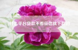 什么平台贷款不看征信就下款的