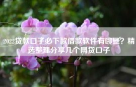 2022贷款口子必下款借款软件有哪些？精选整理分享几个网贷口子