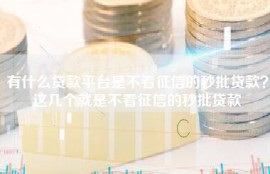 有什么贷款平台是不看征信的秒批贷款？这几个就是不看征信的秒批贷款