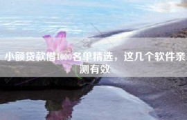小额贷款借1000名单精选，这几个软件亲测有效