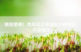 精选整理！急用钱正规贷款小额贷款，不容错过
