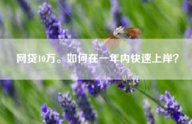 网贷10万。如何在一年内快速上岸？