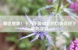 精选整理！千万不能错过的口袋花好下款吗贷款