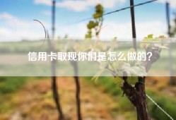 信用卡取现你们是怎么做的？
