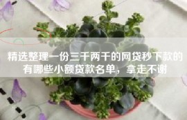 精选整理一份三千两千的网贷秒下款的有哪些小额贷款名单，拿走不谢