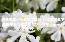 精选整理一份无视征信借2000比较容易下款的平台有哪些借款软件名单，拿走不谢