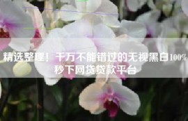 精选整理！千万不能错过的无视黑白100%秒下网贷贷款平台