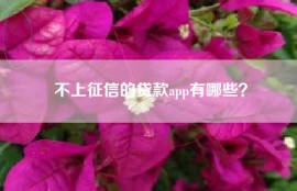 不上征信的贷款app有哪些？