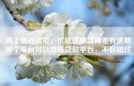 网上借钱被拒，试试这些信用差有逾期哪个平台可以借钱贷款平台，不容错过