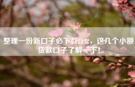 整理一份新口子必下款2022，这几个小额贷款口子了解一下！