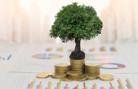 适合一无所有黑户的网贷 2022不管逾期负债能下款的口子