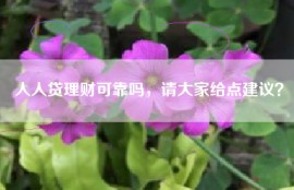 人人贷理财可靠吗，请大家给点建议？
