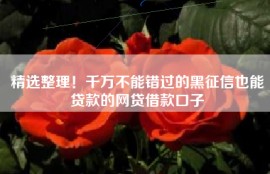 精选整理！千万不能错过的黑征信也能贷款的网贷借款口子