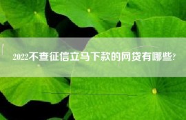 2022不查征信立马下款的网贷有哪些?