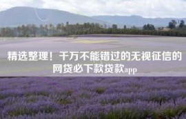 精选整理！千万不能错过的无视征信的网贷必下款贷款app