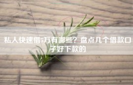 私人快速借5万有哪些？盘点几个借款口子好下款的