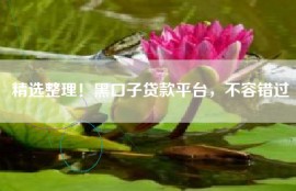 精选整理！黑口子贷款平台，不容错过