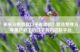 来米分期借款口子有哪些？精选整理分享黑户必下的口子有吗贷款平台
