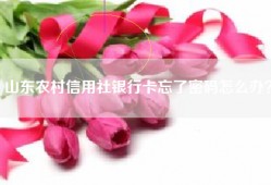 山东农村信用社银行卡忘了密码怎么办？