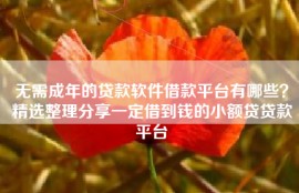 无需成年的贷款软件借款平台有哪些？精选整理分享一定借到钱的小额贷贷款平台