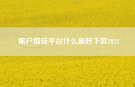 黑户借钱平台什么最好下款2022