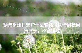 精选整理！黑户什么软件可以借到钱网贷口子，不容错过