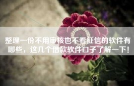 整理一份不用审核也不看征信的软件有哪些，这几个借款软件口子了解一下！