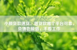 小额贷款速贷，借贷款哪个平台可靠，负债也能借，不看工作